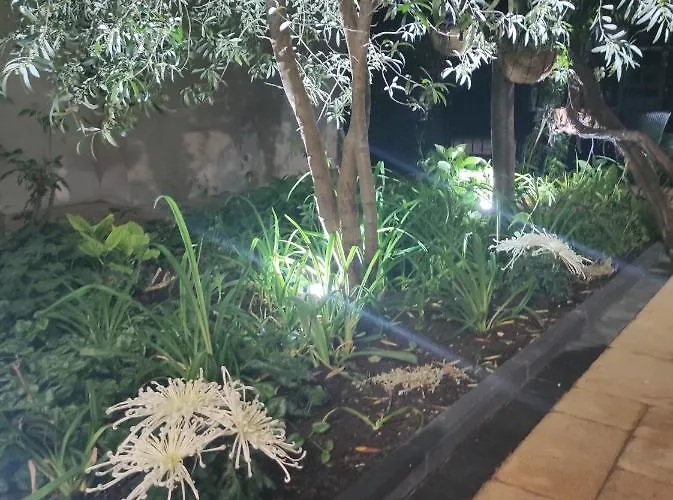 Adriya Guest house 4*